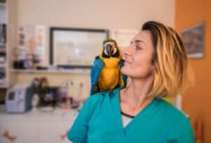 veterinario a domicilio per animali esotici